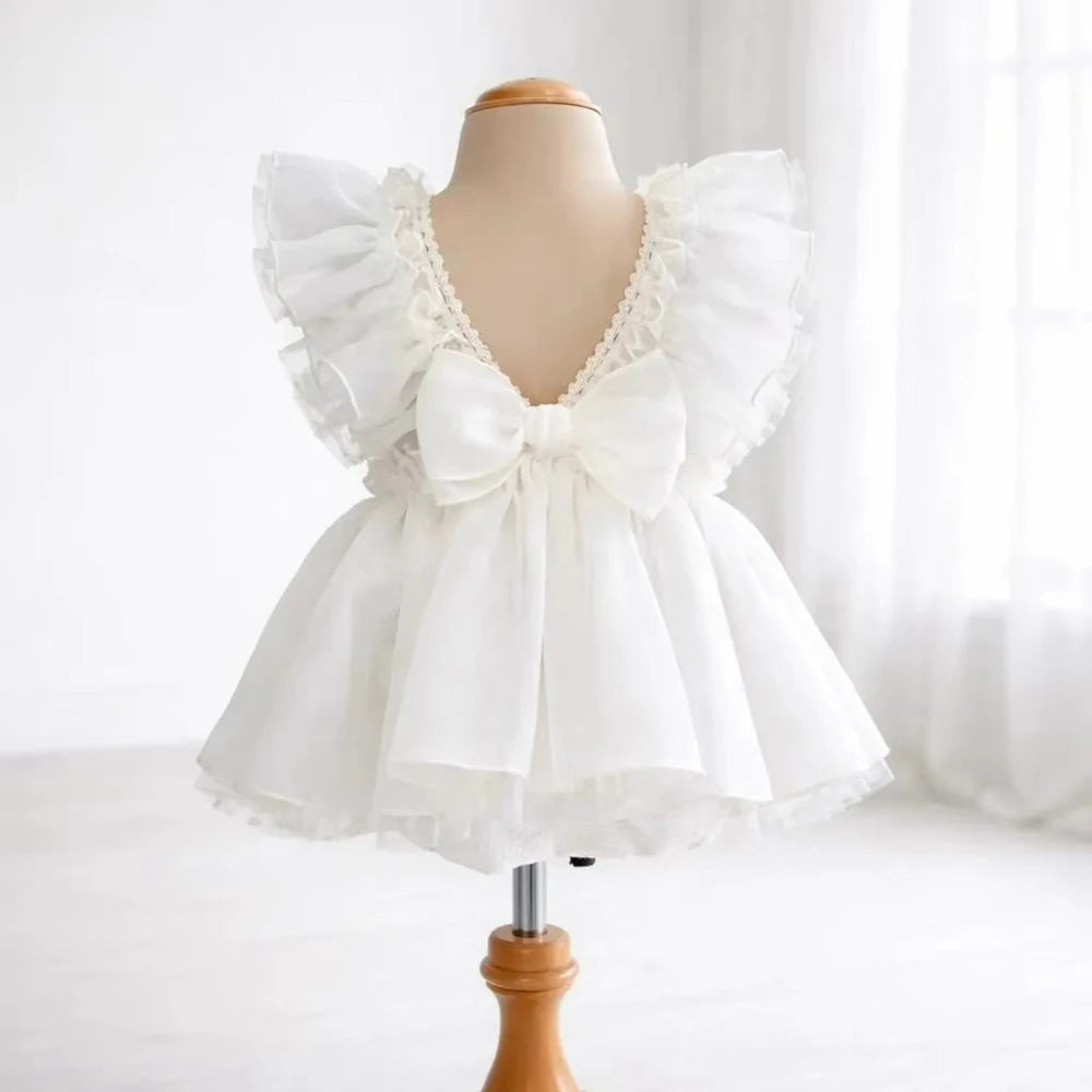 Magical White Angel Wing Ruffled Tulle Dress Back Bow Newborn Photo Newborn Set