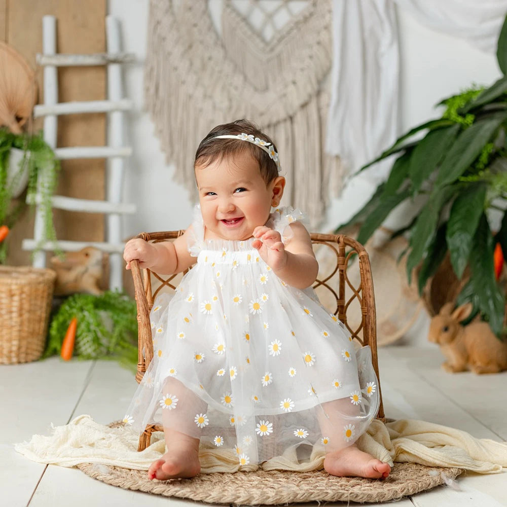 Newborn Baby Girl Dress Daisy Mesh Princess Shower 1st Birthday Photo Boutique Newborn Set