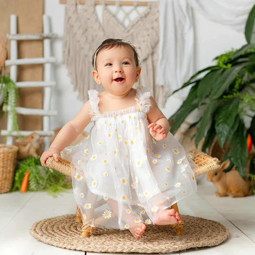 Newborn Baby Girl Dress Daisy Mesh Princess Shower 1st Birthday Photo Boutique Newborn Set
