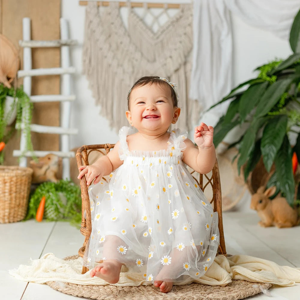 Newborn Baby Girl Dress Daisy Mesh Princess Shower 1st Birthday Photo Boutique Newborn Set