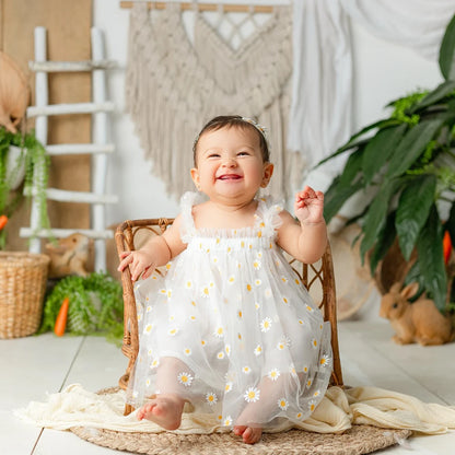 Newborn Baby Girl Dress Daisy Mesh Princess Shower 1st Birthday Photo Boutique Newborn Set