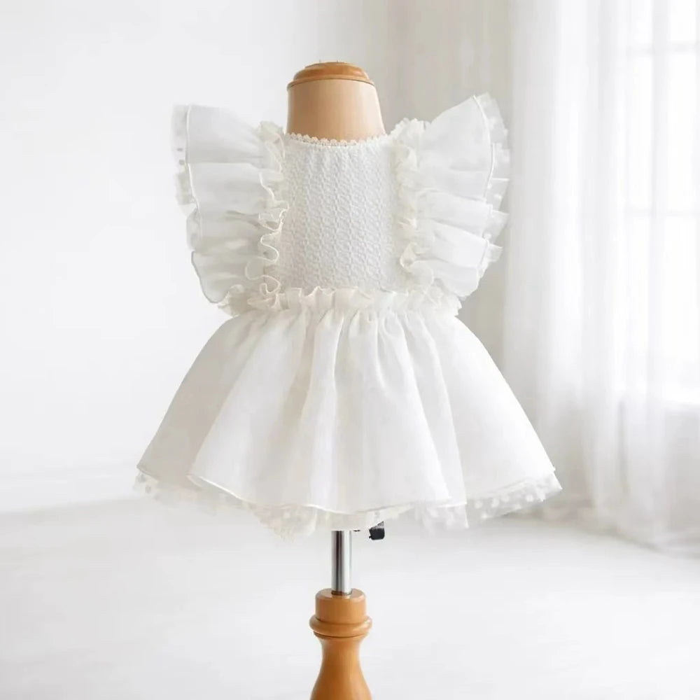 Magical White Angel Wing Ruffled Tulle Dress Back Bow Newborn Photo Newborn Set