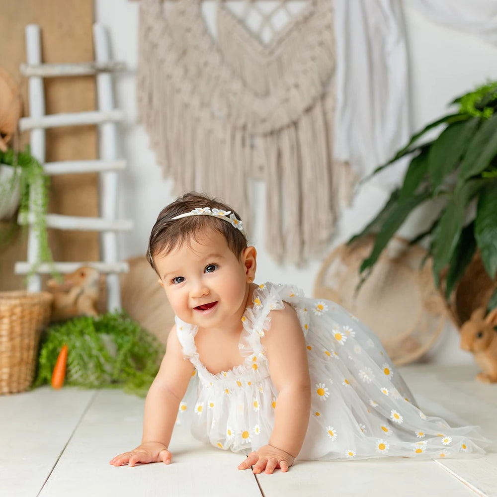 Newborn Baby Girl Dress Daisy Mesh Princess Shower 1st Birthday Photo Boutique Newborn Set
